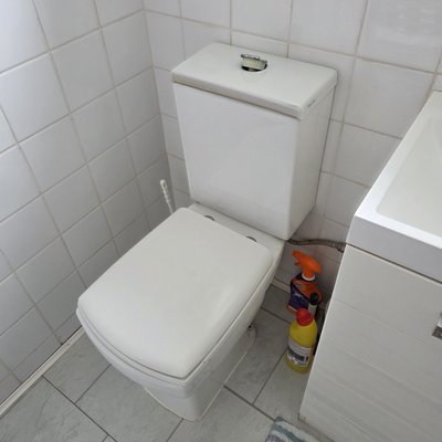 Tired looking toilet